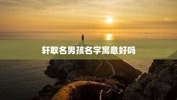 轩取名男孩名字寓意好吗