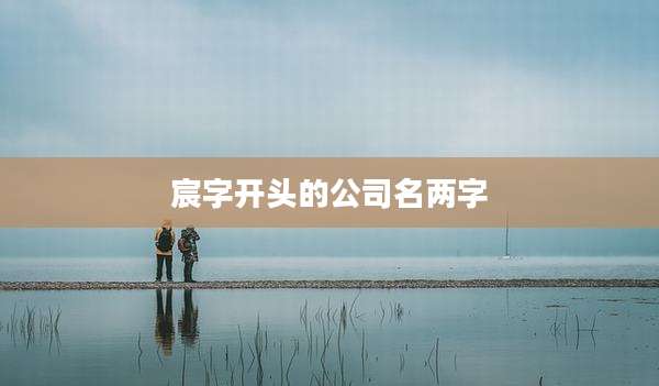 宸字开头的公司名两字