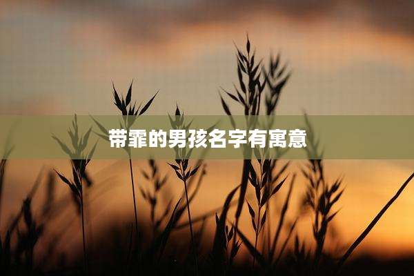 带霏的男孩名字有寓意