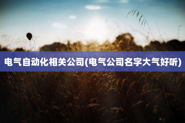 电气自动化相关公司(电气公司名字大气好听)