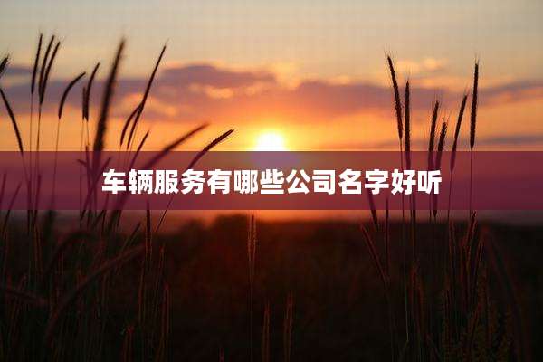 车辆服务有哪些公司名字好听