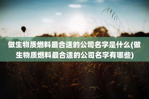 做生物质燃料最合适的公司名字是什么(做生物质燃料最合适的公司名字有哪些)