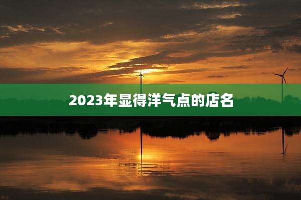2023年显得洋气点的店名
