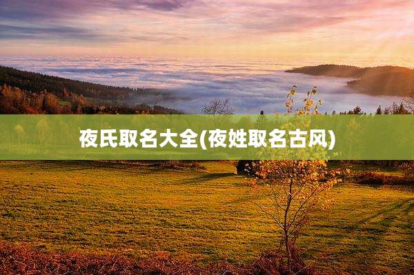夜氏取名大全(夜姓取名古风)