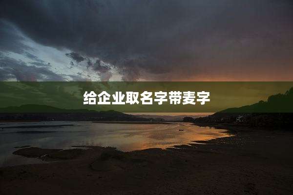 给企业取名字带麦字