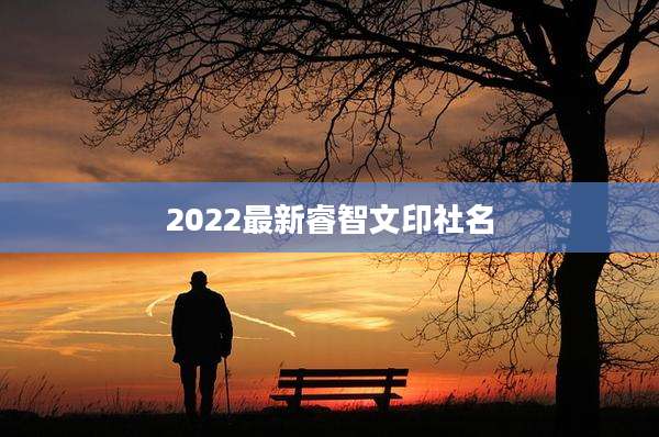 2022最新睿智文印社名