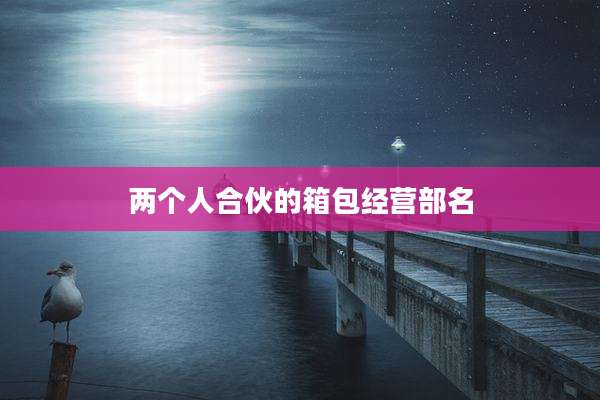 两个人合伙的箱包经营部名