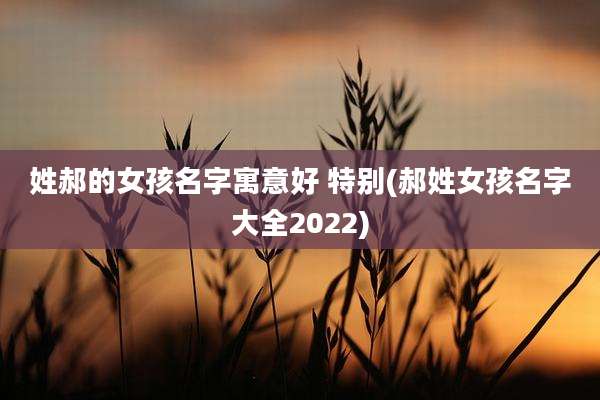 姓郝的女孩名字寓意好 特别(郝姓女孩名字大全2022)
