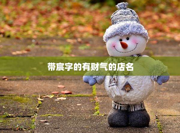 带宸字的有财气的店名