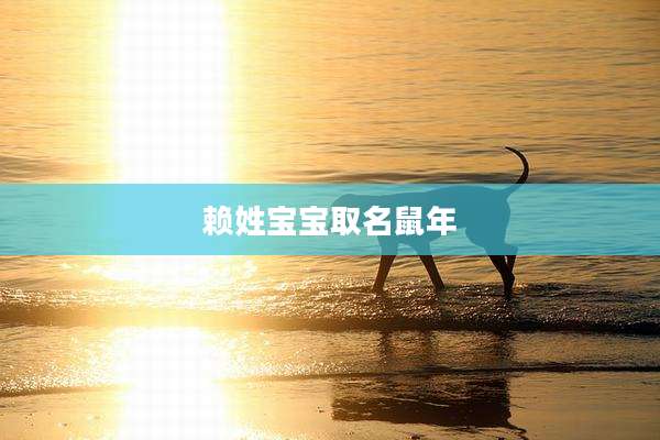赖姓宝宝取名鼠年