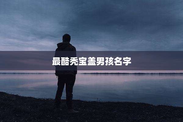 最酷秃宝盖男孩名字
