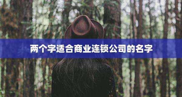 两个字适合商业连锁公司的名字