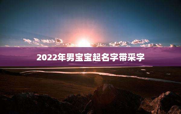 2022年男宝宝起名字带采字