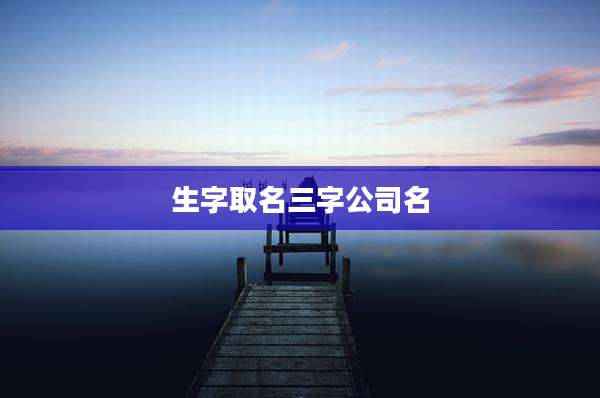 生字取名三字公司名