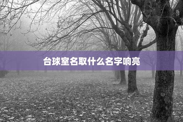 台球室名取什么名字响亮