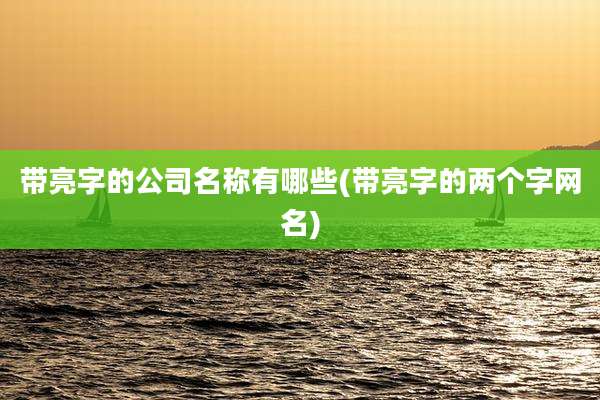 带亮字的公司名称有哪些(带亮字的两个字网名)