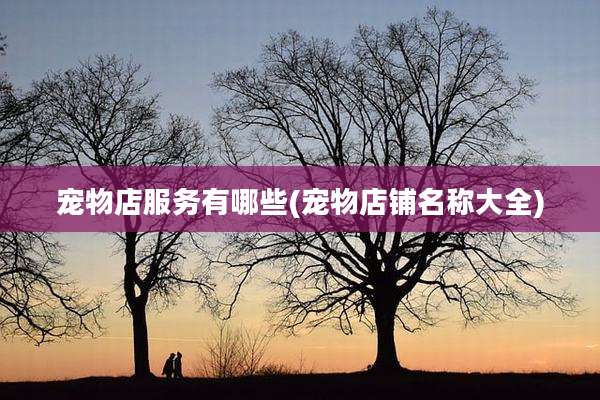 宠物店服务有哪些(宠物店铺名称大全)