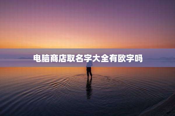 电脑商店取名字大全有欧字吗