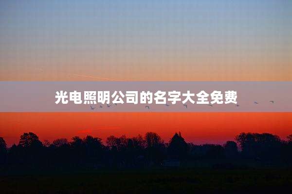 光电照明公司的名字大全免费