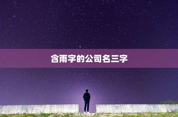 含雨字的公司名三字