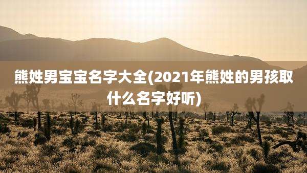 熊姓男宝宝名字大全(2021年熊姓的男孩取什么名字好听)