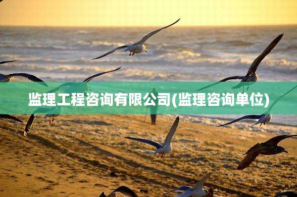 监理工程咨询有限公司(监理咨询单位)