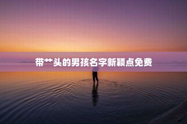 带艹头的男孩名字新颖点免费