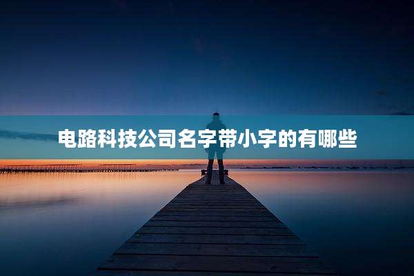 电路科技公司名字带小字的有哪些