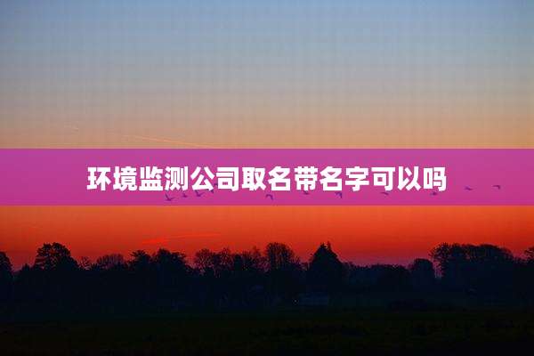环境监测公司取名带名字可以吗