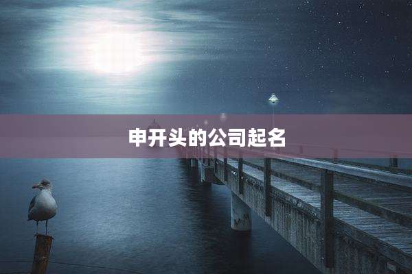 申开头的公司起名