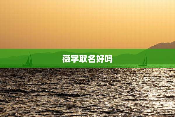 薇字取名好吗