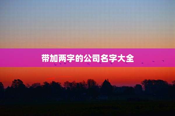 带加两字的公司名字大全