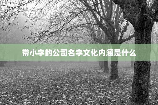 带小字的公司名字文化内涵是什么
