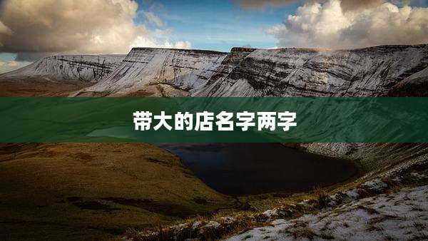 带大的店名字两字