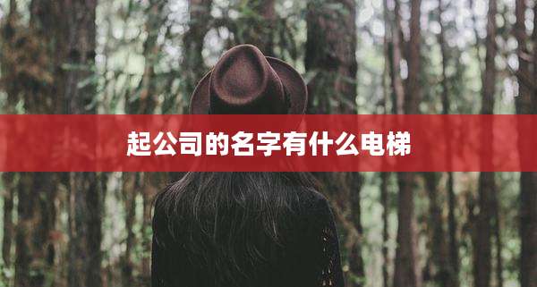 起公司的名字有什么电梯