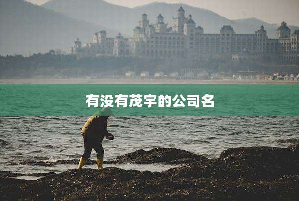 有没有茂字的公司名