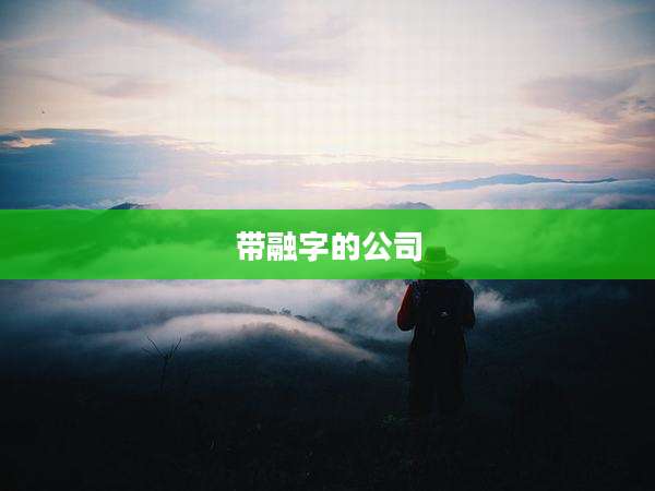 带融字的公司