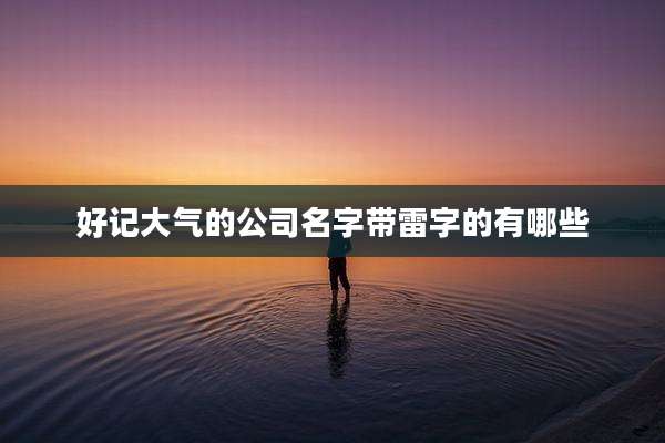好记大气的公司名字带雷字的有哪些