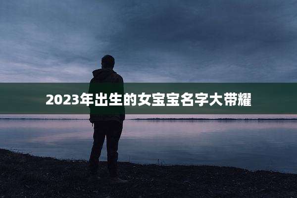 2023年出生的女宝宝名字大带耀
