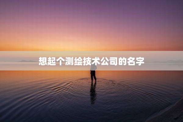 想起个测绘技术公司的名字