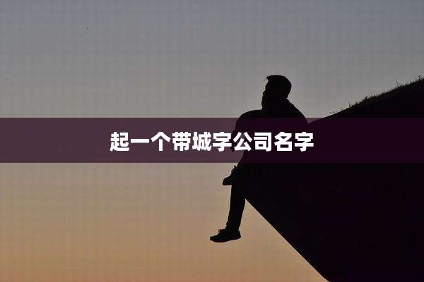 起一个带城字公司名字