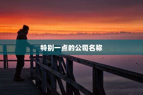 特别一点的公司名称