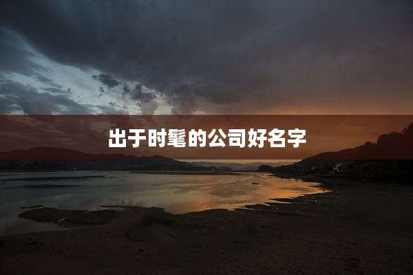 出于时髦的公司好名字