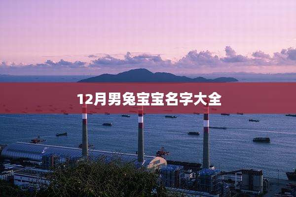 12月男兔宝宝名字大全