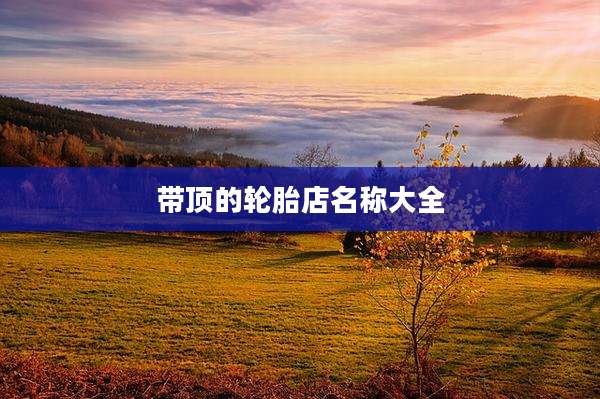 带顶的轮胎店名称大全