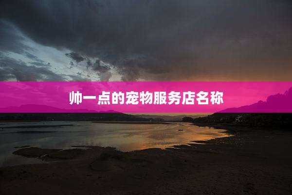 帅一点的宠物服务店名称