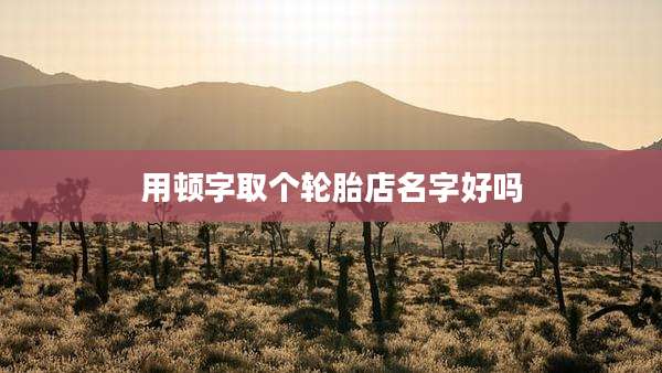 用顿字取个轮胎店名字好吗