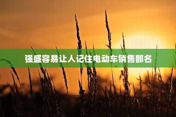 强盛容易让人记住电动车销售部名