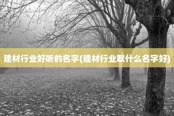 建材行业好听的名字(建材行业取什么名字好)