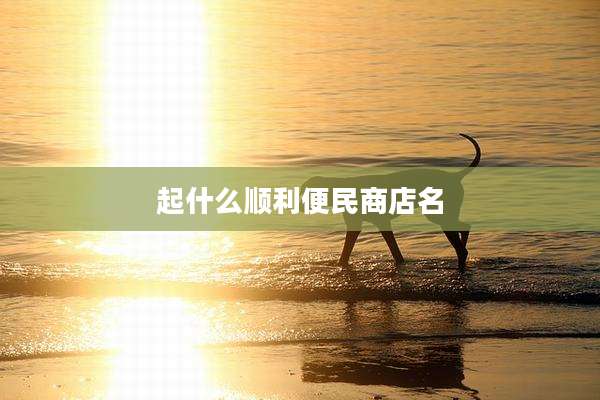 起什么顺利便民商店名
